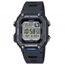 WS-B1000-1a